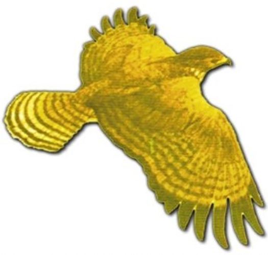 Leighton Buzzard Town Cricket Club